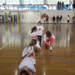 Volley Mania