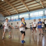 Volley Mania