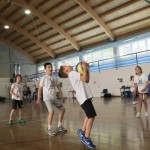 Volley Mania