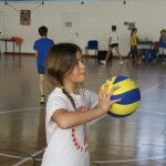 Volley Mania