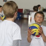 Volley Mania