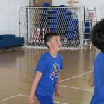 Volley Mania