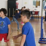 Volley Mania