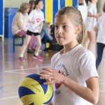 Volley Mania