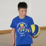 Volley Mania