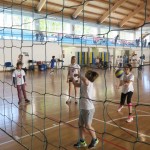Volley Mania