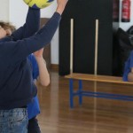 Volley Mania