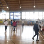 Volley Mania