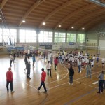 Volley Mania