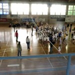Volley Mania