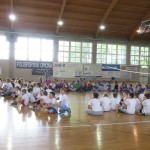 Volley Mania