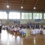 Volley Mania