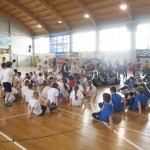 Volley Mania