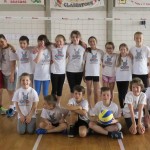Volley Mania