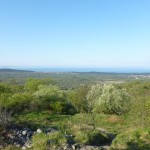 3. Pomladni pohod po stezi Mirka Škabarja