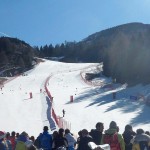 Veleslalom, državni finale