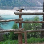 Veleslalom, državni finale