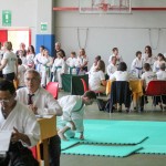 Shinkai club - Mednarodni pokal Zgonik