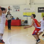 Dom Mark - Dezelni prvaki