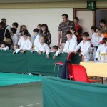 Shinkai club - Mednarodni pokal Zgonik