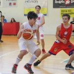 Dom Mark - Dezelni prvaki