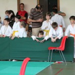 Shinkai club - Mednarodni pokal Zgonik