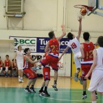 Dom Mark - Dezelni prvaki