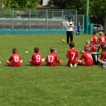 Krasov mednarodni turnir cicibanov in mlajših cicibanov