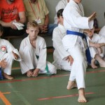 Shinkai club - Mednarodni pokal Zgonik