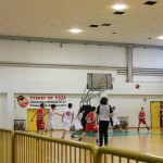 Dom Mark - Dezelni prvaki