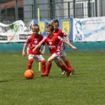 Krasov mednarodni turnir cicibanov in mlajših cicibanov