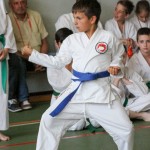 Shinkai club - Mednarodni pokal Zgonik