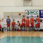 Dom Mark - Dezelni prvaki