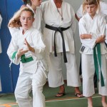 Shinkai club - Mednarodni pokal Zgonik