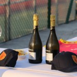 Emil Zubin predstavitev