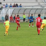 Krasov mednarodni turnir cicibanov in mlajših cicibanov