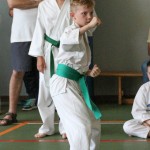 Shinkai club - Mednarodni pokal Zgonik