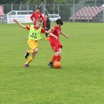 Krasov mednarodni turnir cicibanov in mlajših cicibanov