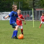 Krasov mednarodni turnir cicibanov in mlajših cicibanov