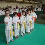 Shinkai club - Mednarodni pokal Zgonik