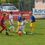 Krasov mednarodni turnir cicibanov in mlajših cicibanov