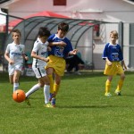 Krasov mednarodni turnir cicibanov in mlajših cicibanov