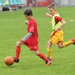 Krasov mednarodni turnir cicibanov in mlajših cicibanov