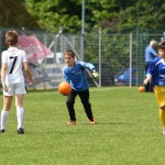 Krasov mednarodni turnir cicibanov in mlajših cicibanov