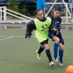 Krasov mednarodni turnir cicibanov in mlajših cicibanov