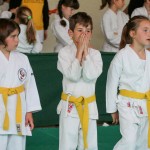 Shinkai club - Mednarodni pokal Zgonik