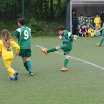 Krasov mednarodni turnir cicibanov in mlajših cicibanov