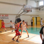 Dom Mark - Dezelni prvaki