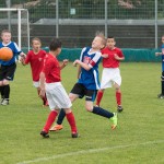 Krasov mednarodni turnir cicibanov in mlajših cicibanov