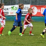 Krasov mednarodni turnir cicibanov in mlajših cicibanov